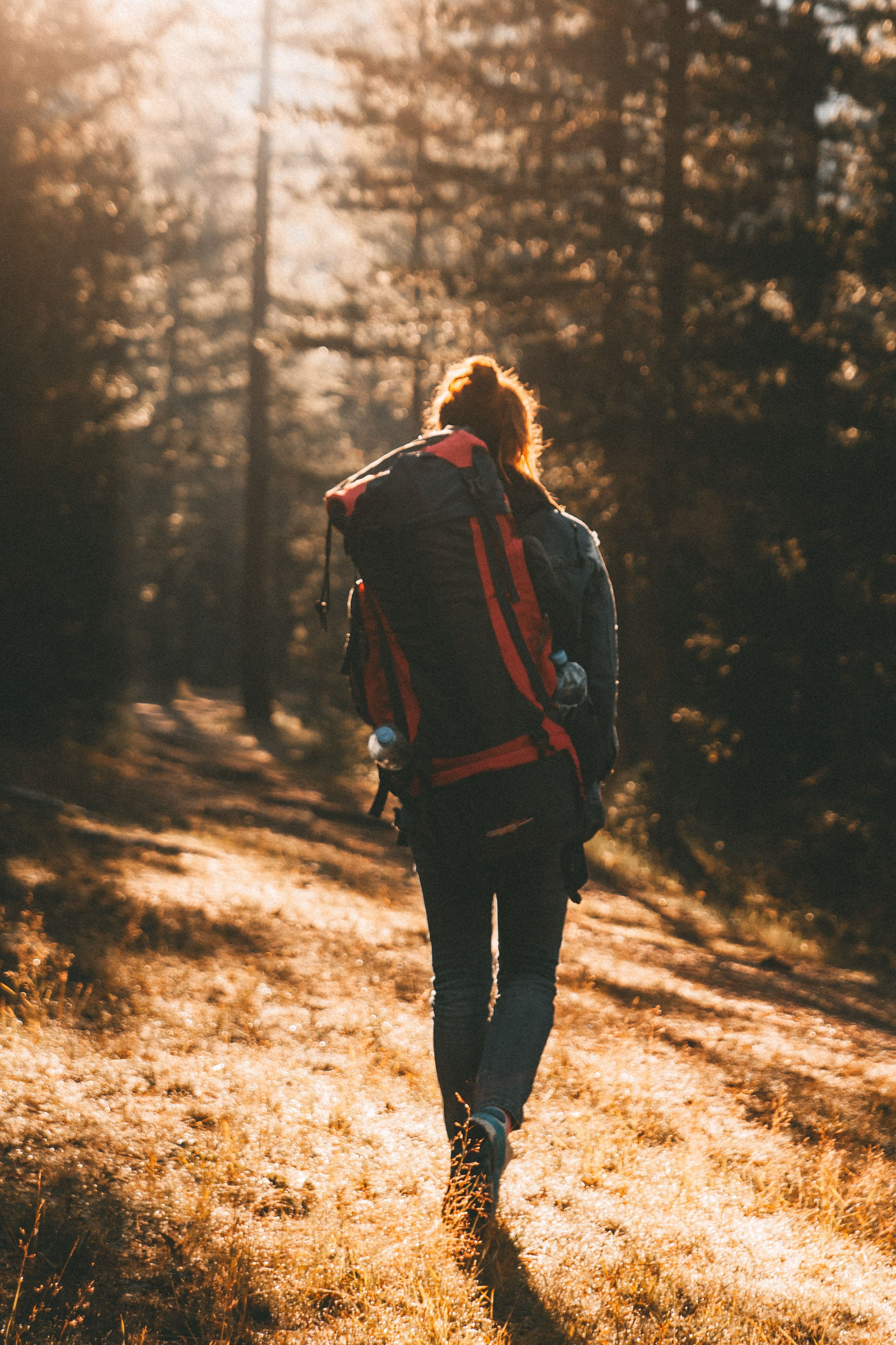 Wanderin im warmen Abendlicht