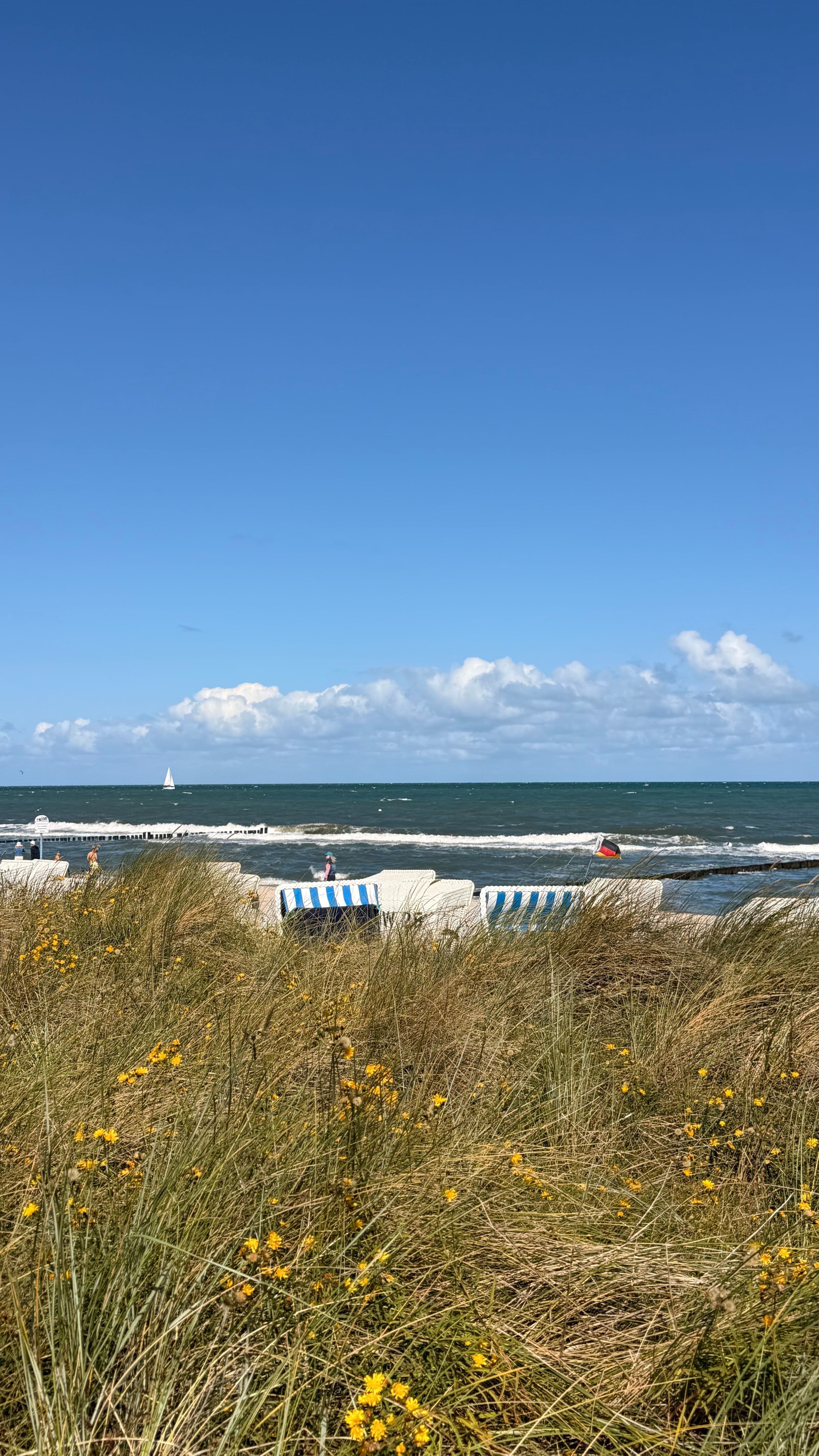 Dünen an der Ostsee